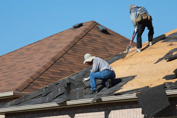 Best Metal Roofing Installation  in Lake Barcroft, VA