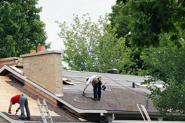 Best Roof Insulation Installation  in Lake Barcroft, VA